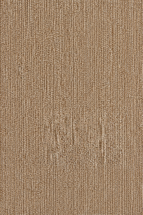 Avenue 70 Wall-to-Wall Carpet Collection | Premium Residential & Commercial Carpets
